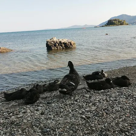 Апартаменты βeιιa *